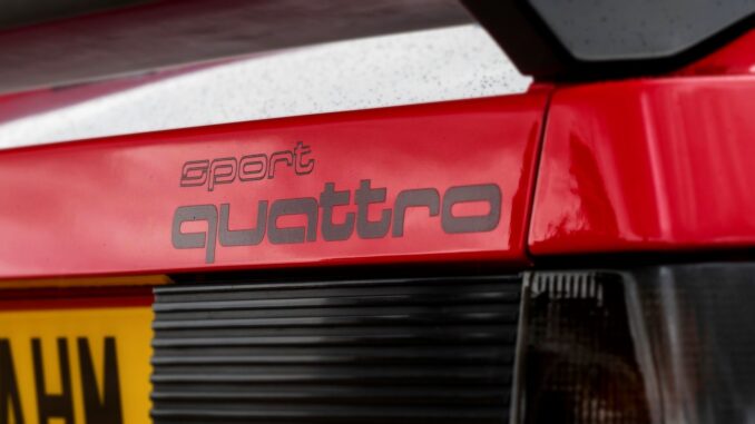 1984 audi sport quattro badge.jpg