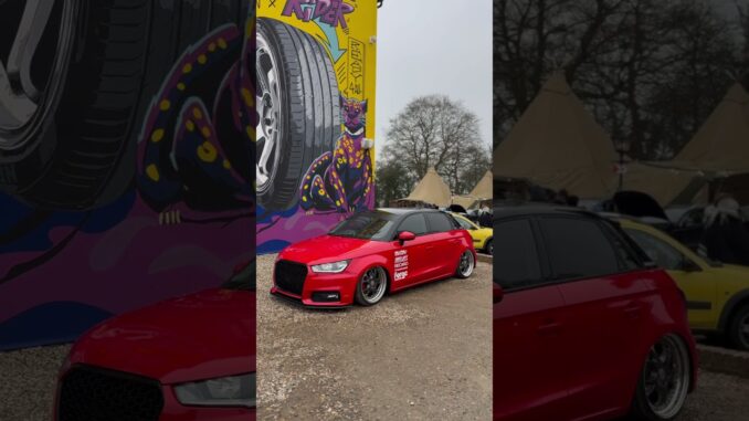 @caffeineandmachine with the ultimate content wall! #audia1 #carcommunity #ds13sel